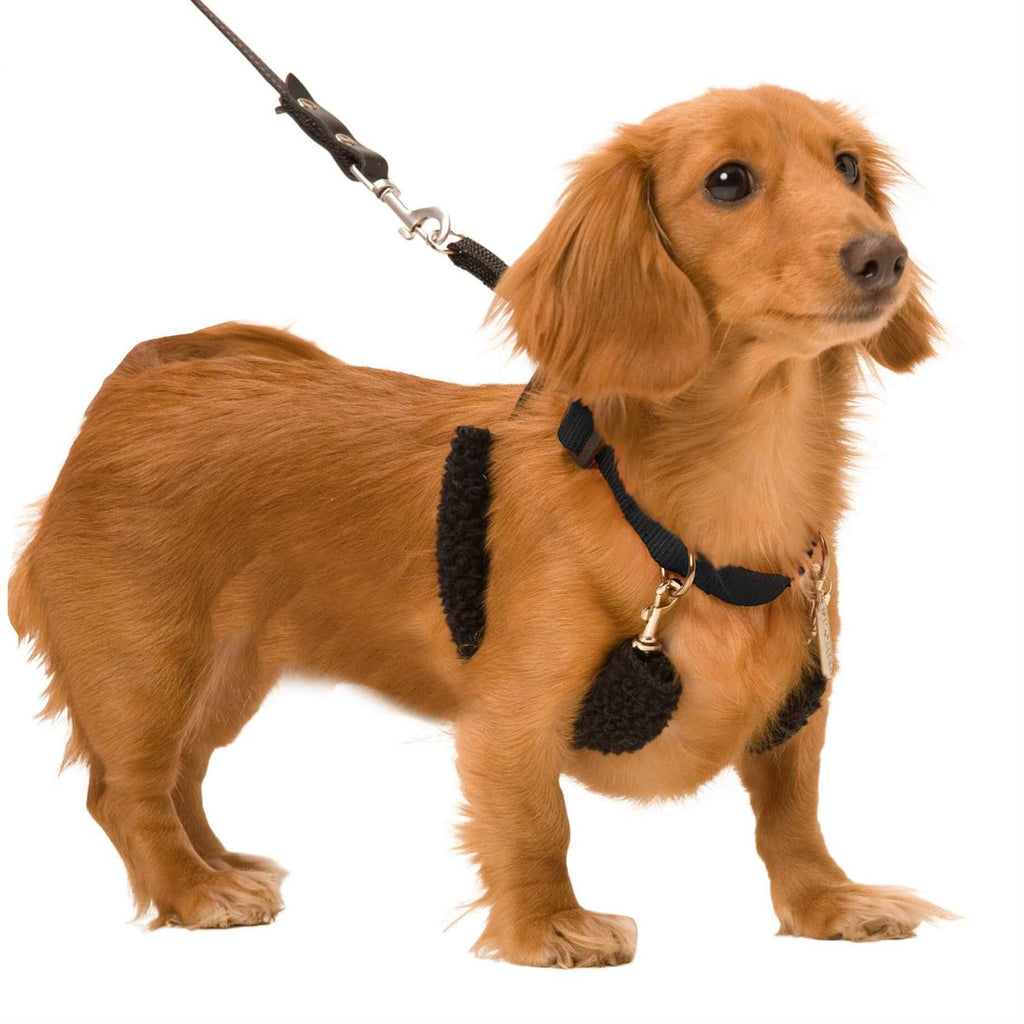 Pet Halter D46181