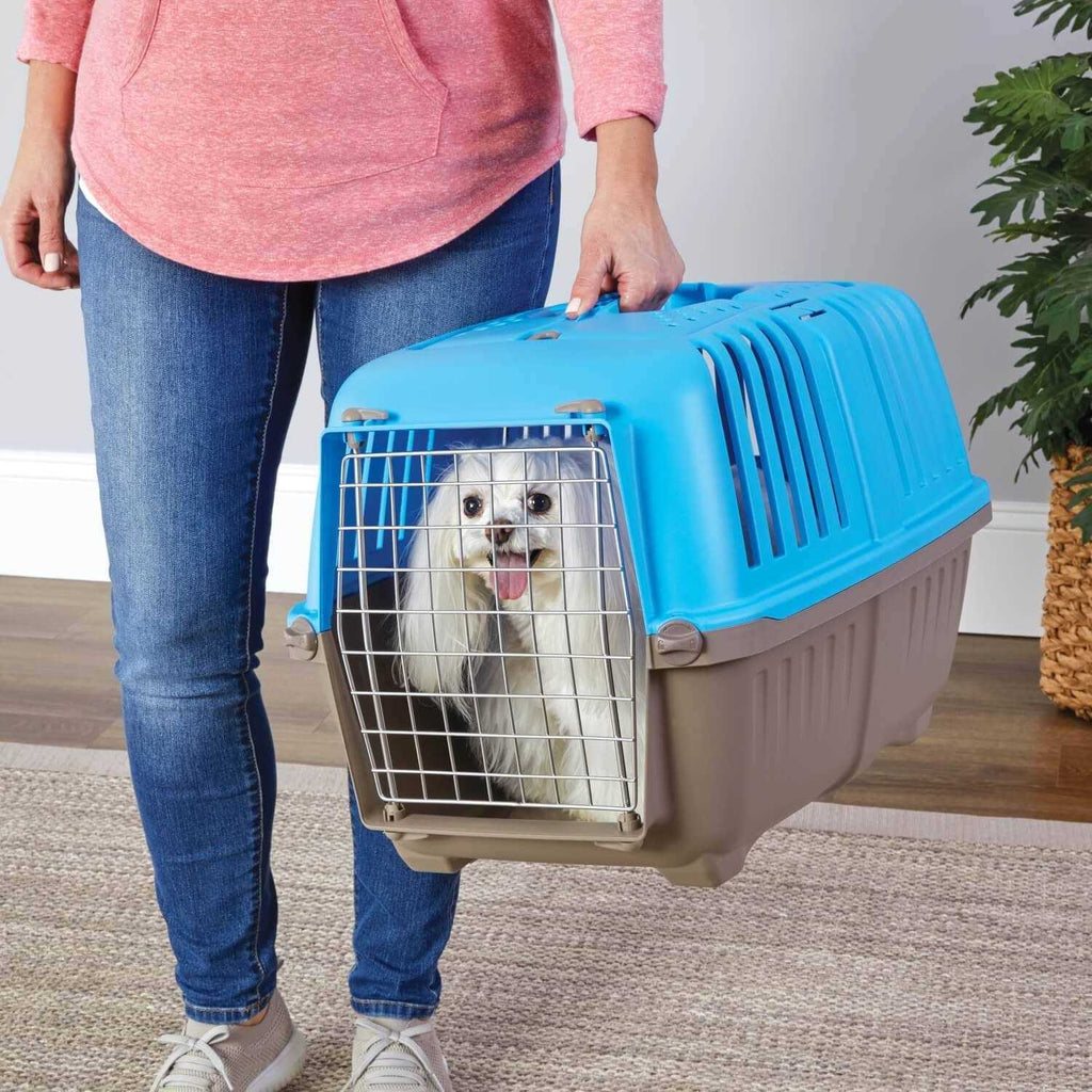 Plastic Pet Carrier Z92982