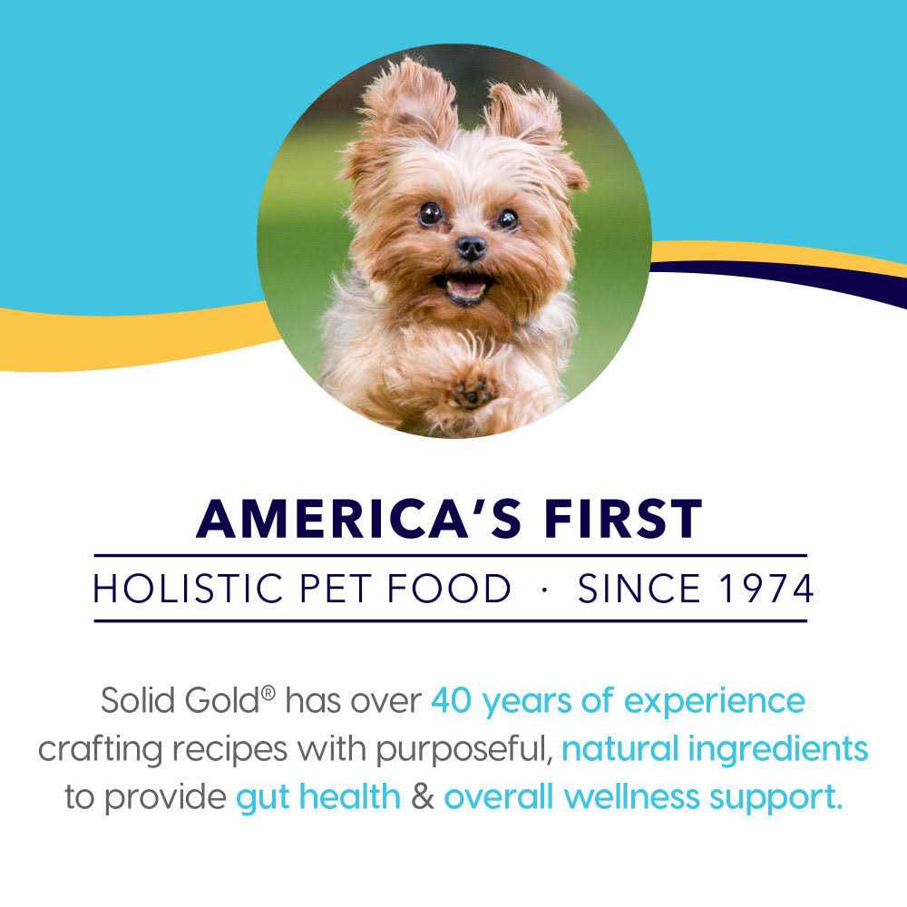 Solid Gold Small Breed Dry Dog Food O86867