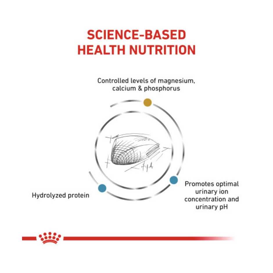 Hydrolyzed Protein Dry Cat Food R584