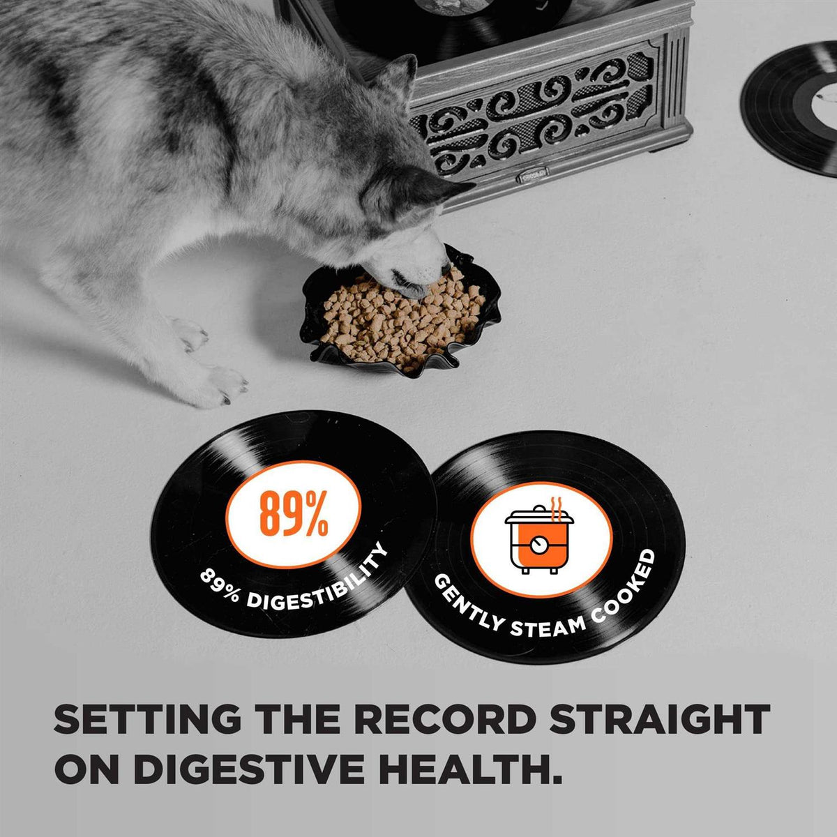 Grain Free Dry Dog Food Chicken V282847