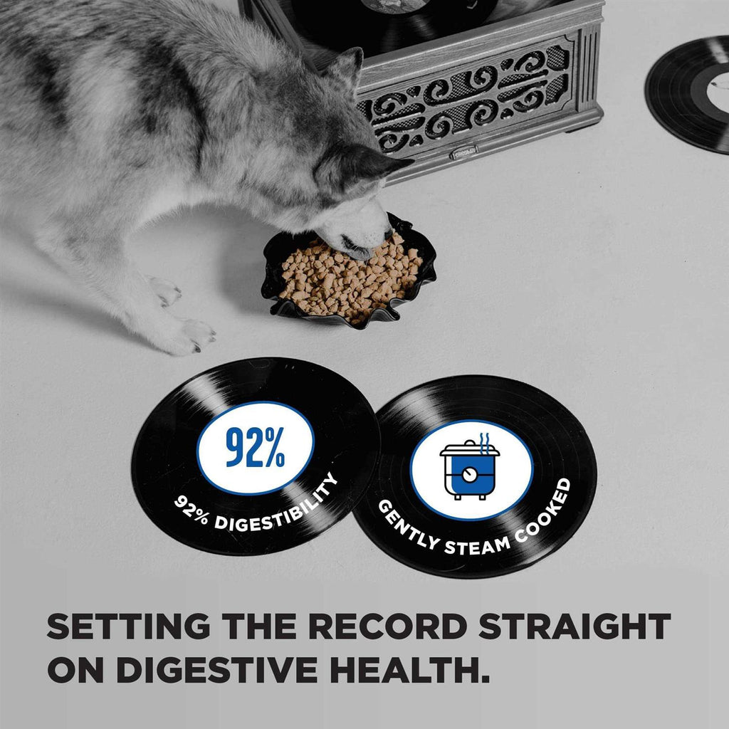 Dry Dog Food C918