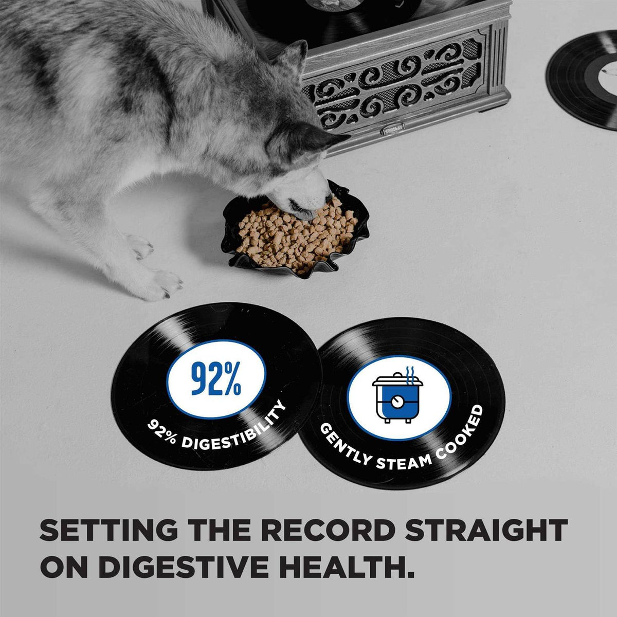 Dry Dog Food C918