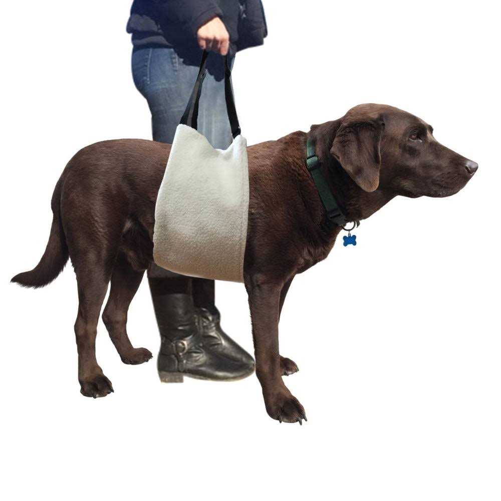 Veterinarian Approved Plush Soft Canine Sling Adjustable Straps E54428