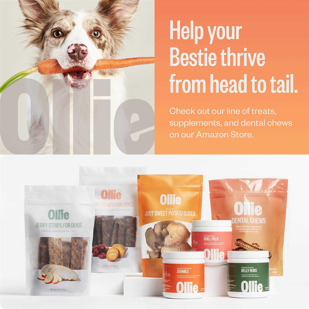 Dental Chews For Dogs V3560