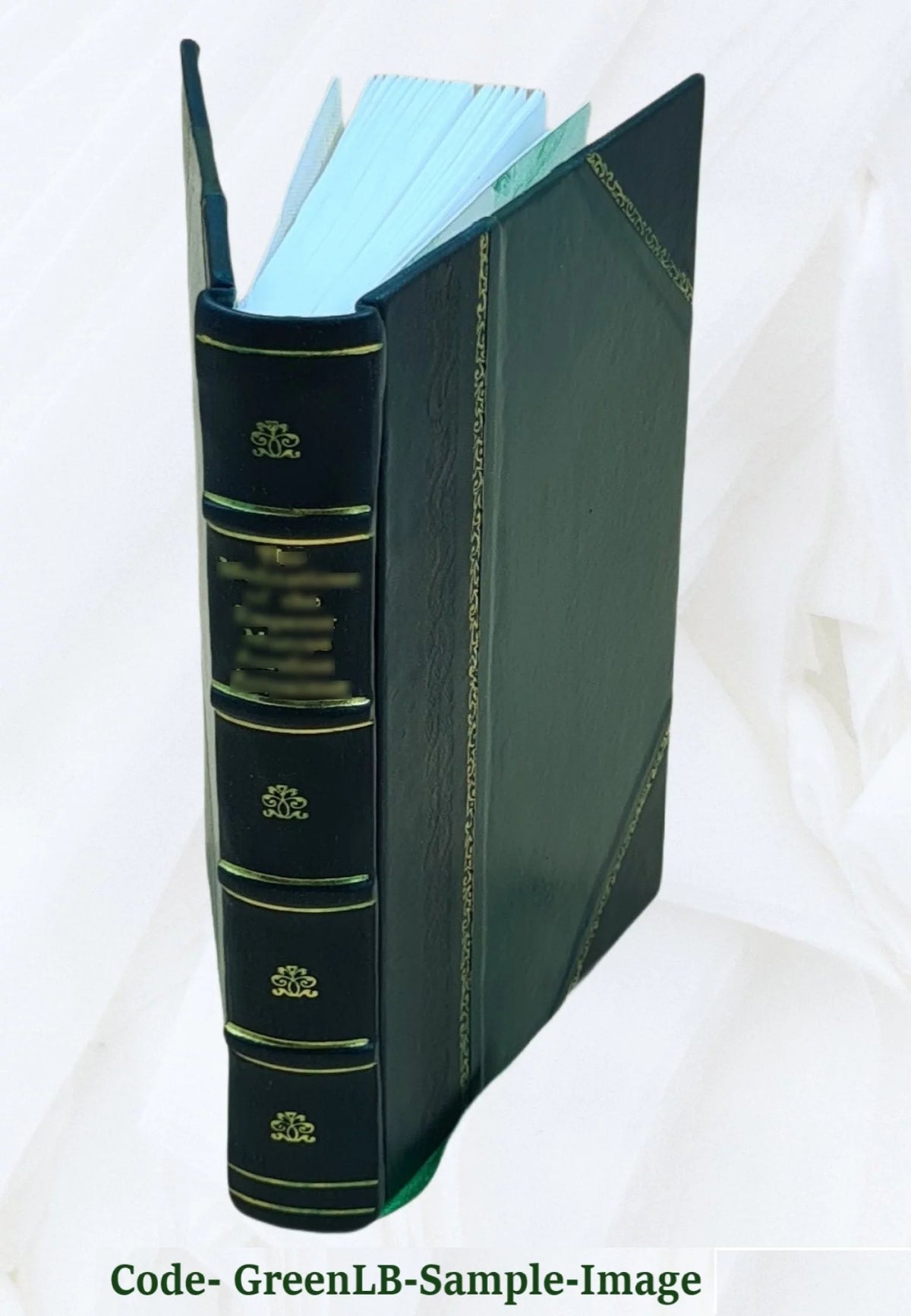 Gen. Garfield from the Log Cabin to the White House Leather Bound G85879