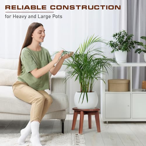 Acacia Wooden Plant Stand with Spill-Proof Tray K414750