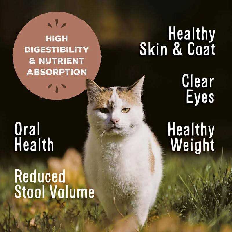 Freeze-Dried Feline Nuggets L767171