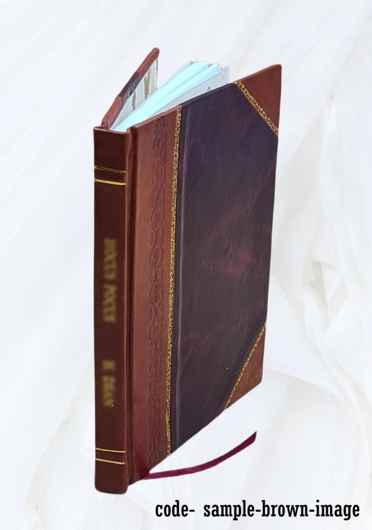 Hamilton Lodge 1853-1903 Leather Bound U526