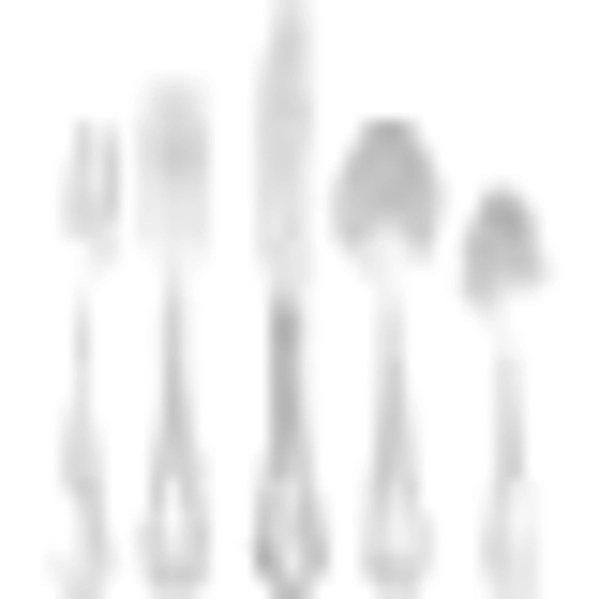 20-piece Stainless Steel Flatware Set Y8199
