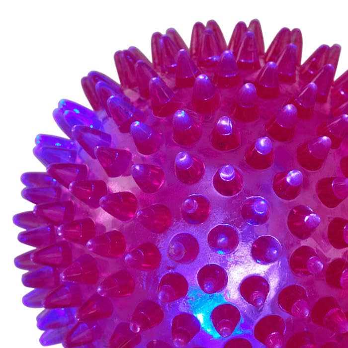 Spiny Ball Dog Chew Toy N345