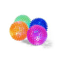 Spiny Ball Dog Chew Toy N345