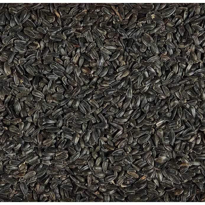 Striped Sunflower Wild Bird Food H43961