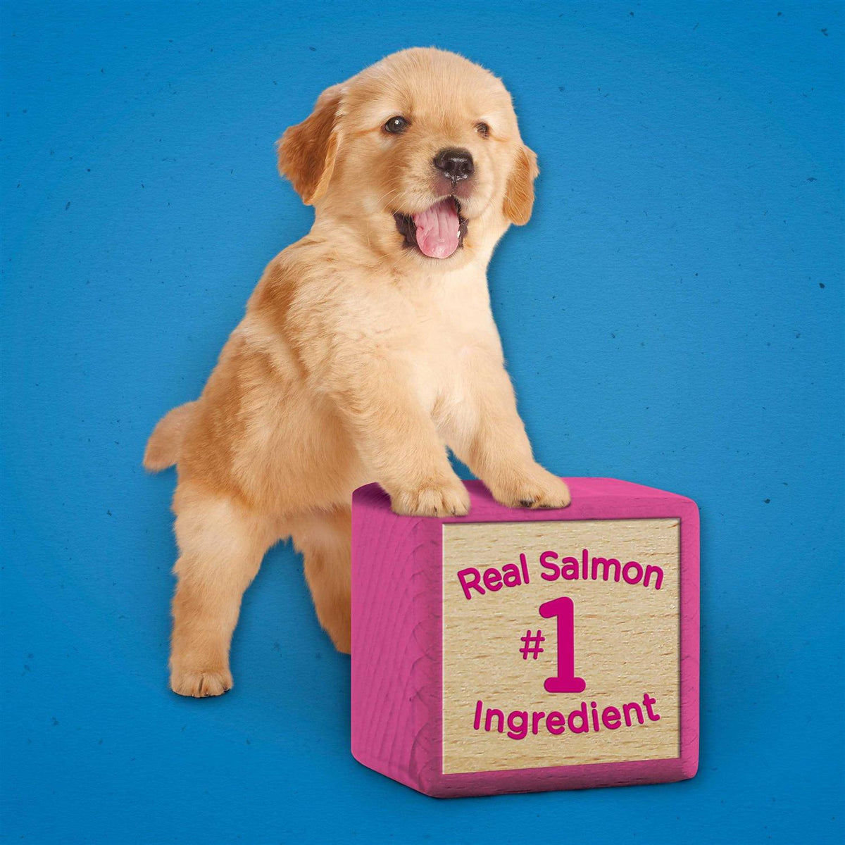 Dog Training Treats X79271