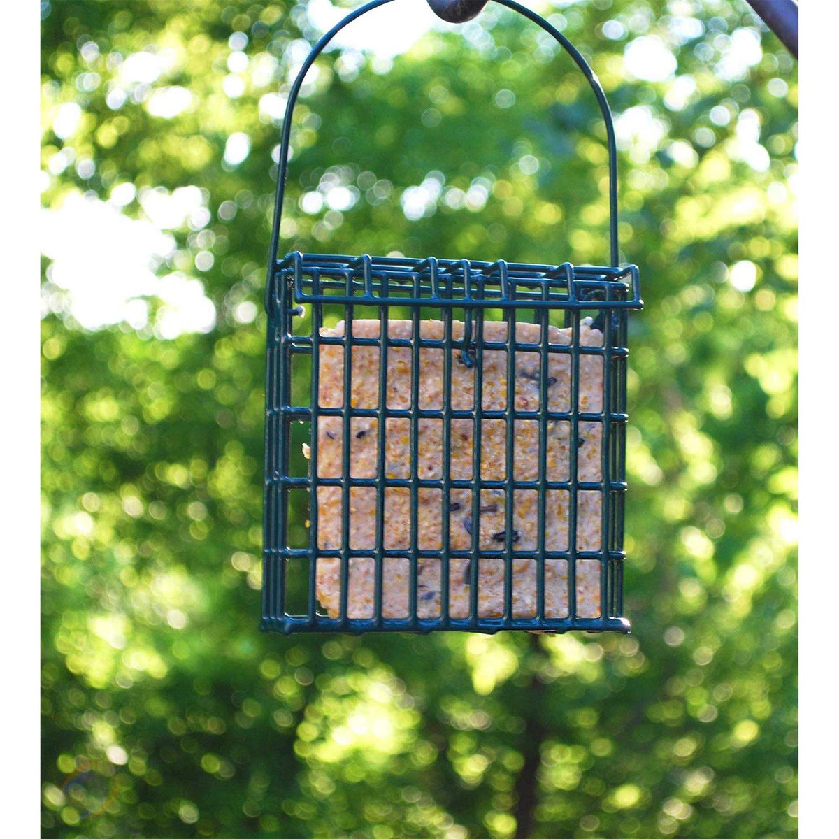 High Energy Wild Bird Suet R4042