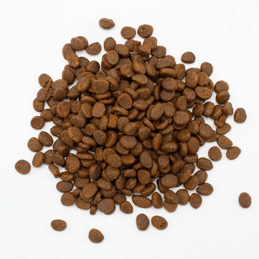 Ferret Food V583