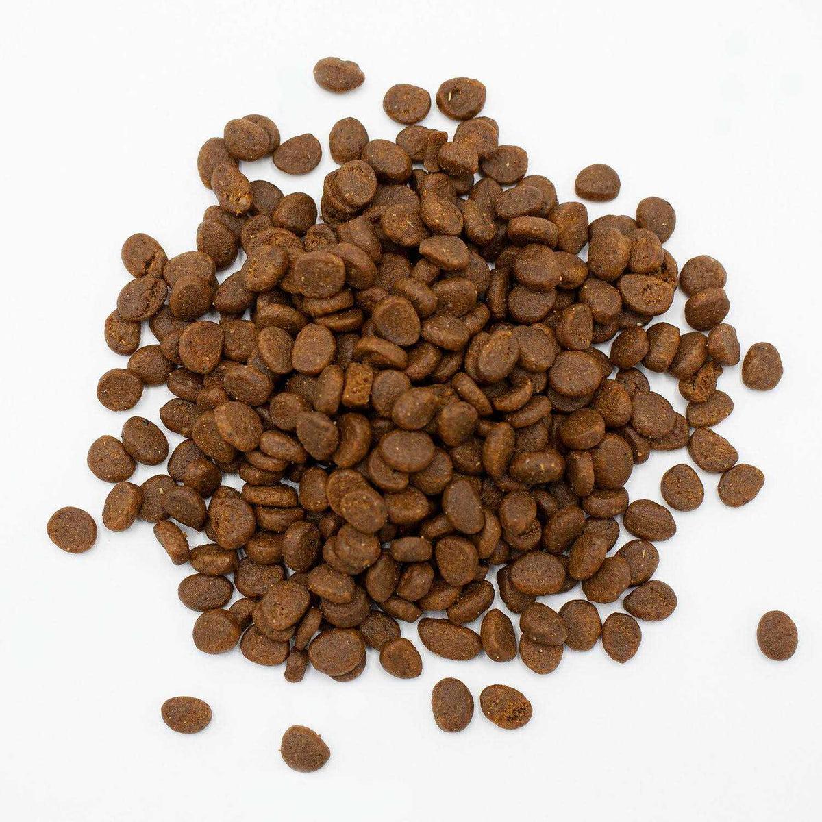 Ferret Food V583