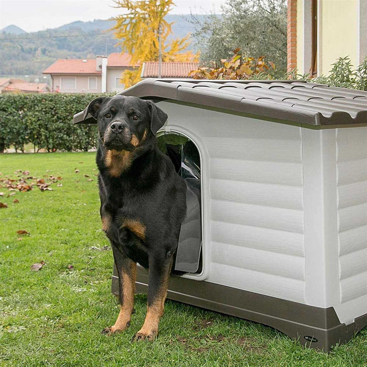 Dog Villa Y745