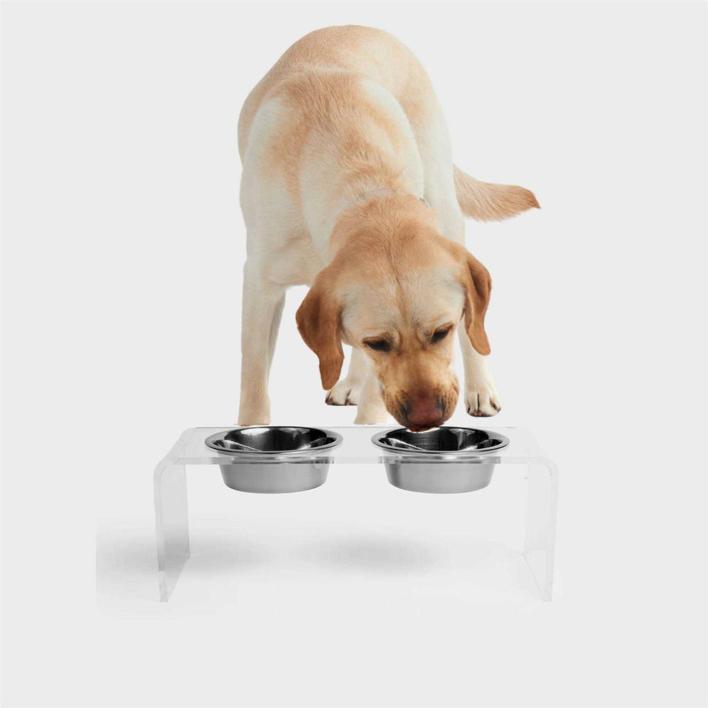 Clear Double Bowl Pet Feeder W252690