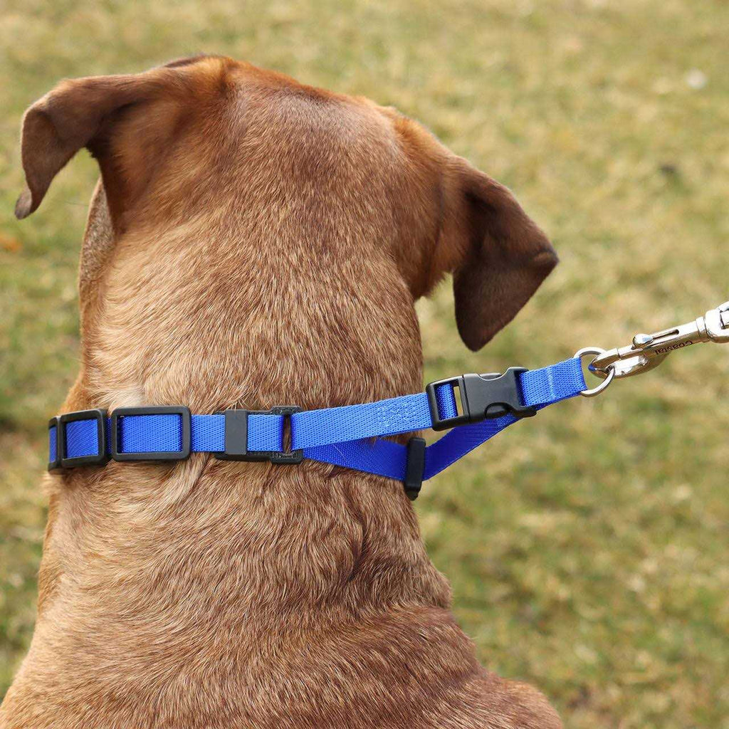 Natural Control Training Collar P881