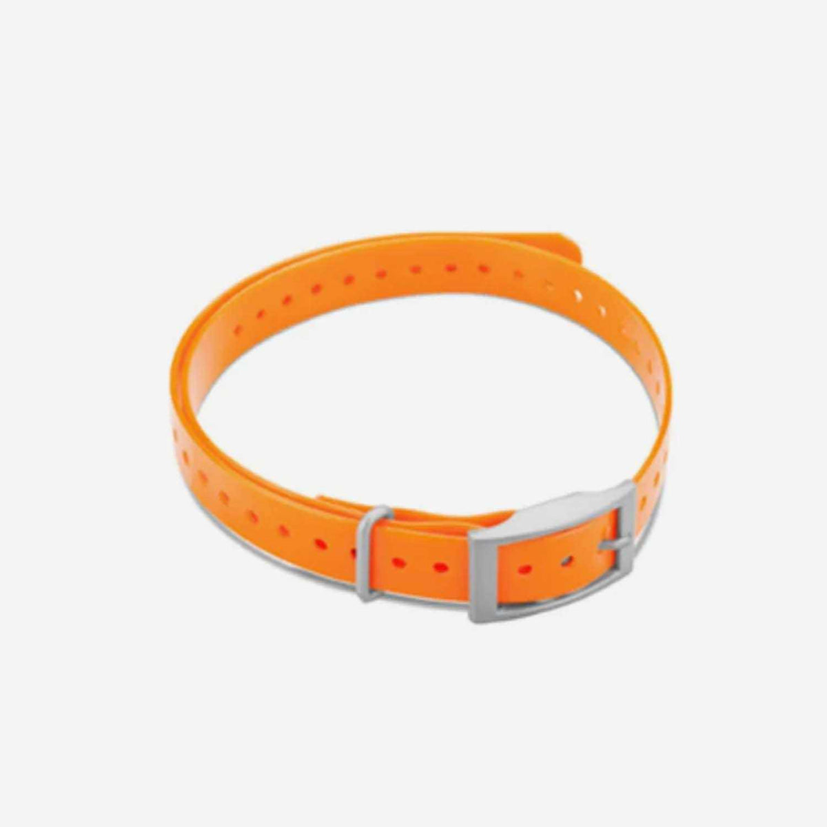 Collar Strap V4941