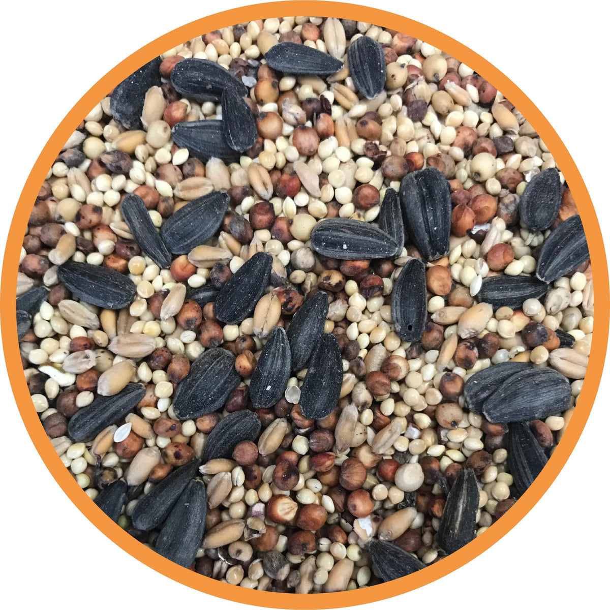 Southwest Blend Wild Bird Food 40 lbs. R984