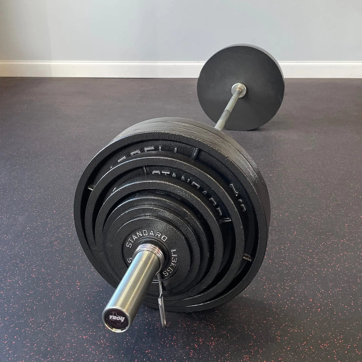 2.5lb Pair Steel Olympic Plates B530118
