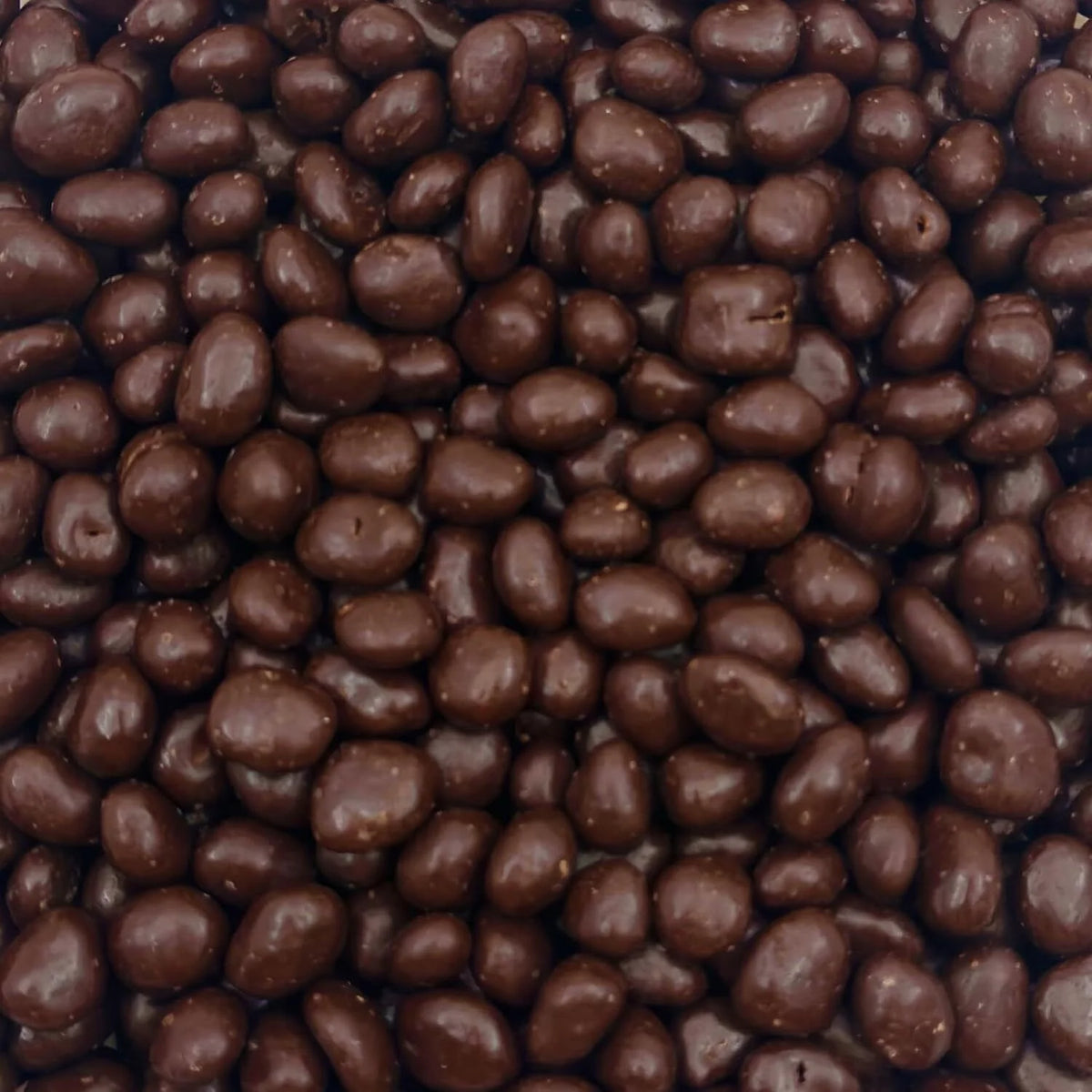 Dark Chocolate Covered Raisins 2-Pound Bag N547