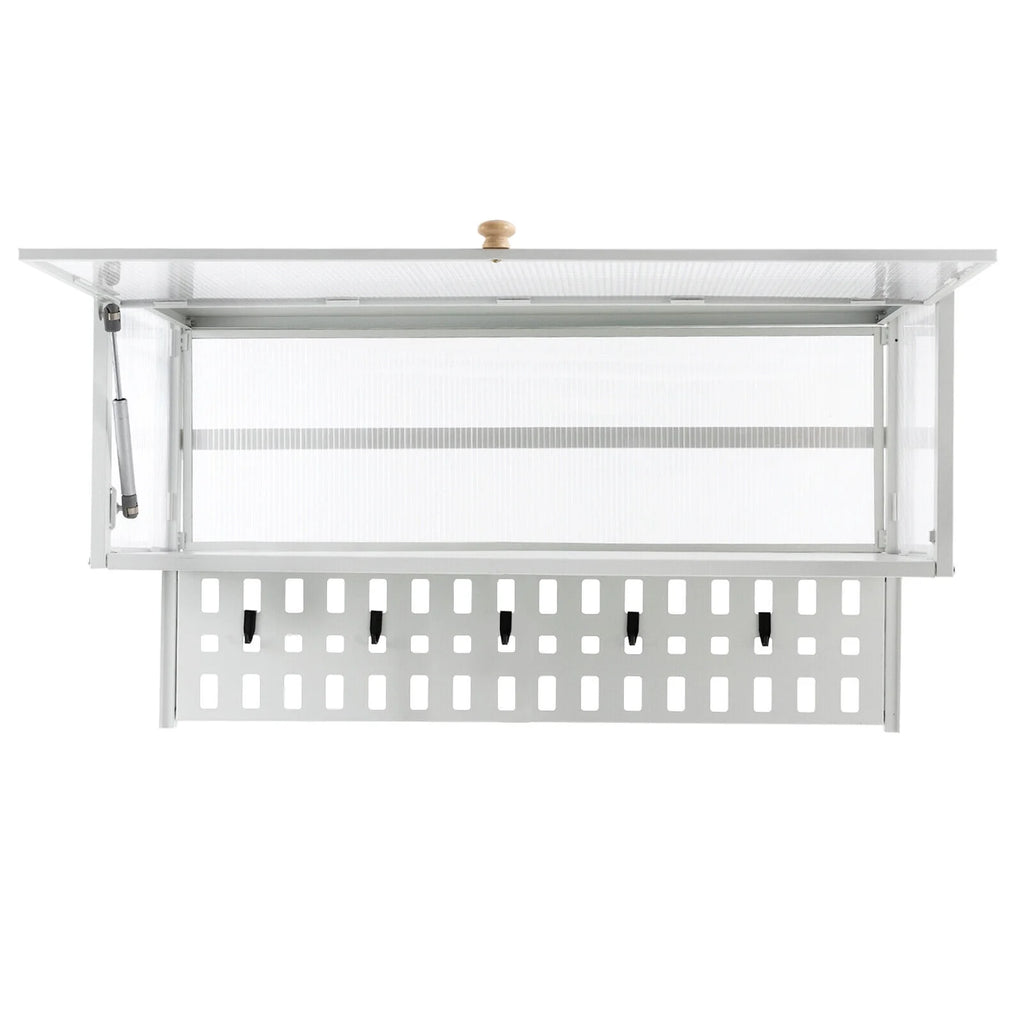 White Wall Mounted Cabinet with 5 Hooks E720