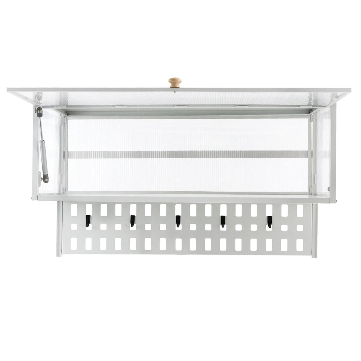 White Wall Mounted Cabinet with 5 Hooks E720