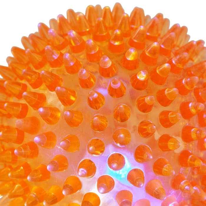 Spiny Ball Dog Chew Toy N345