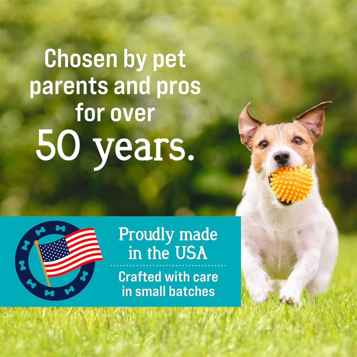 Chicken Freeze Dried Dog Treats L47610