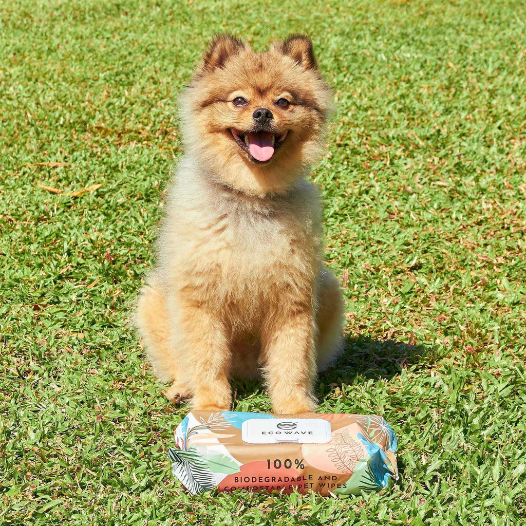 Biodegradable Compostable Dog & Cat Cleansing Wipes A5146