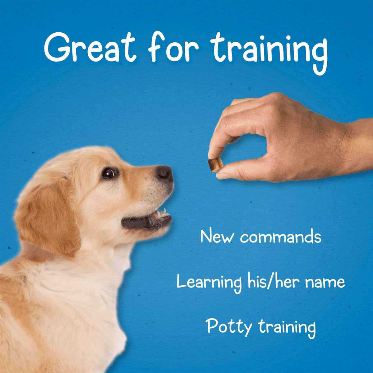 Dog Training Treats X79271