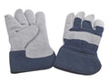 Large Blue Gloves D19395