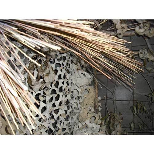 Camo Speed Reed H1584