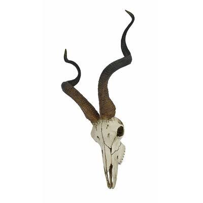 Kudu Antelope Skull Wall Décor L14526
