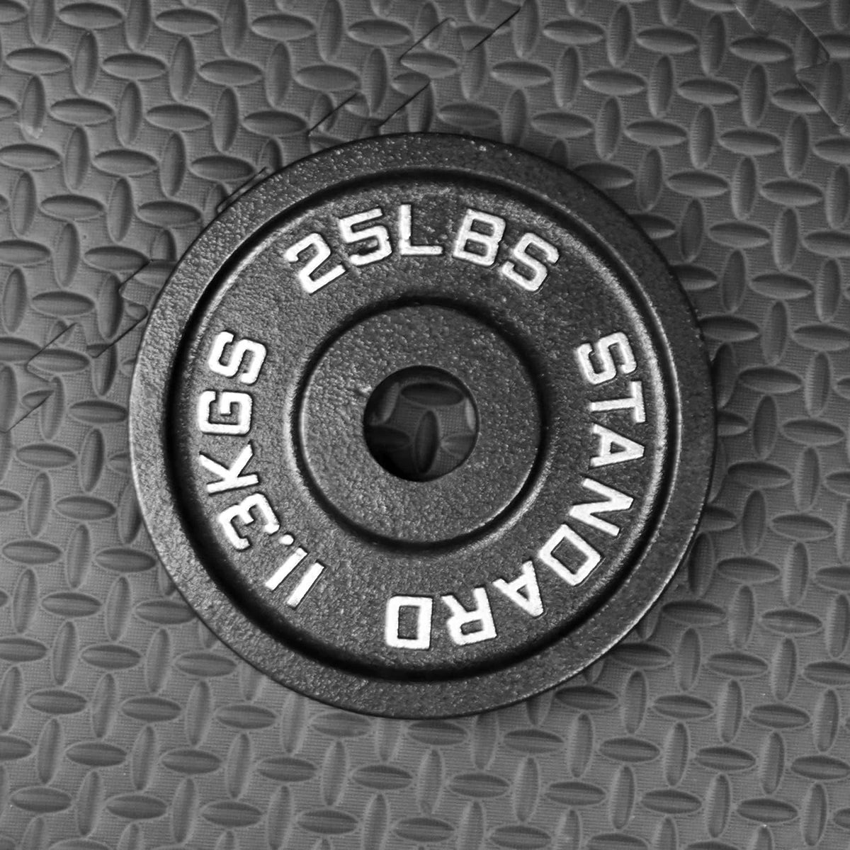 2.5lb Pair Steel Olympic Plates B530118