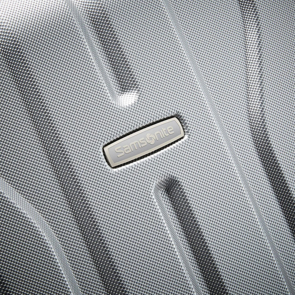 2-Piece Silver Hardside Spinner Luggage Set O190