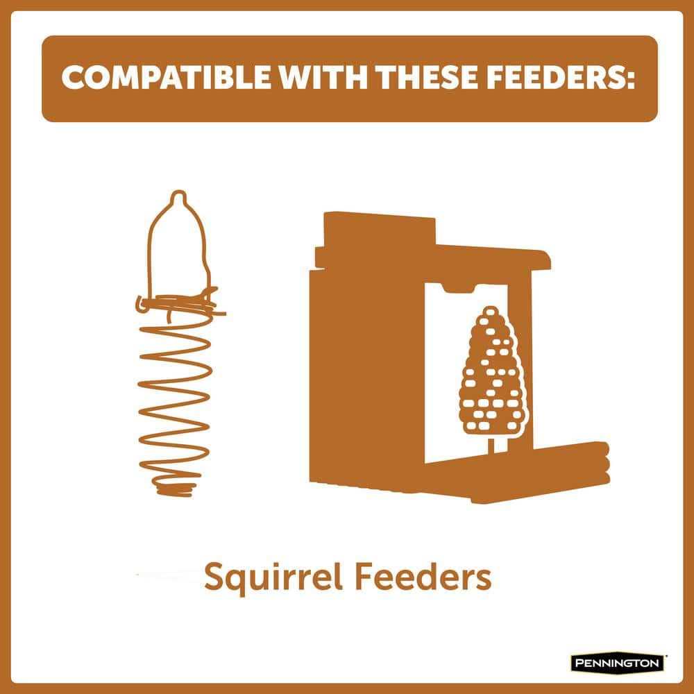 Squirrels Ear Corn Cobs Pet Supplies T70297