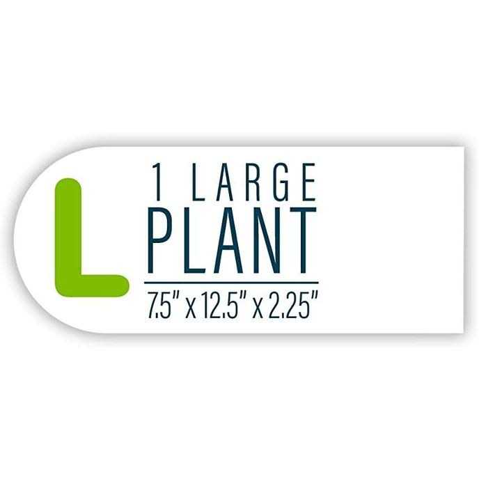 Aquarium Plant F9028