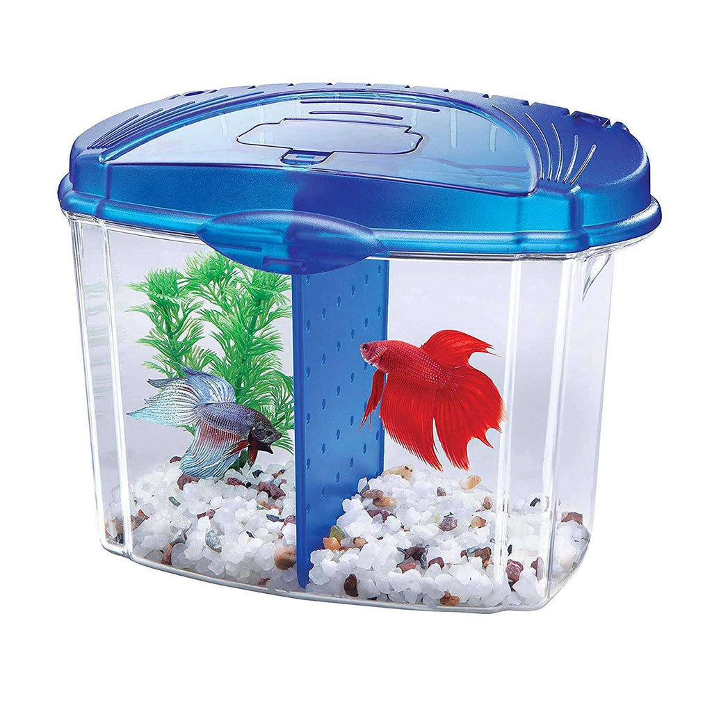 Betta Bowl Kit X5321