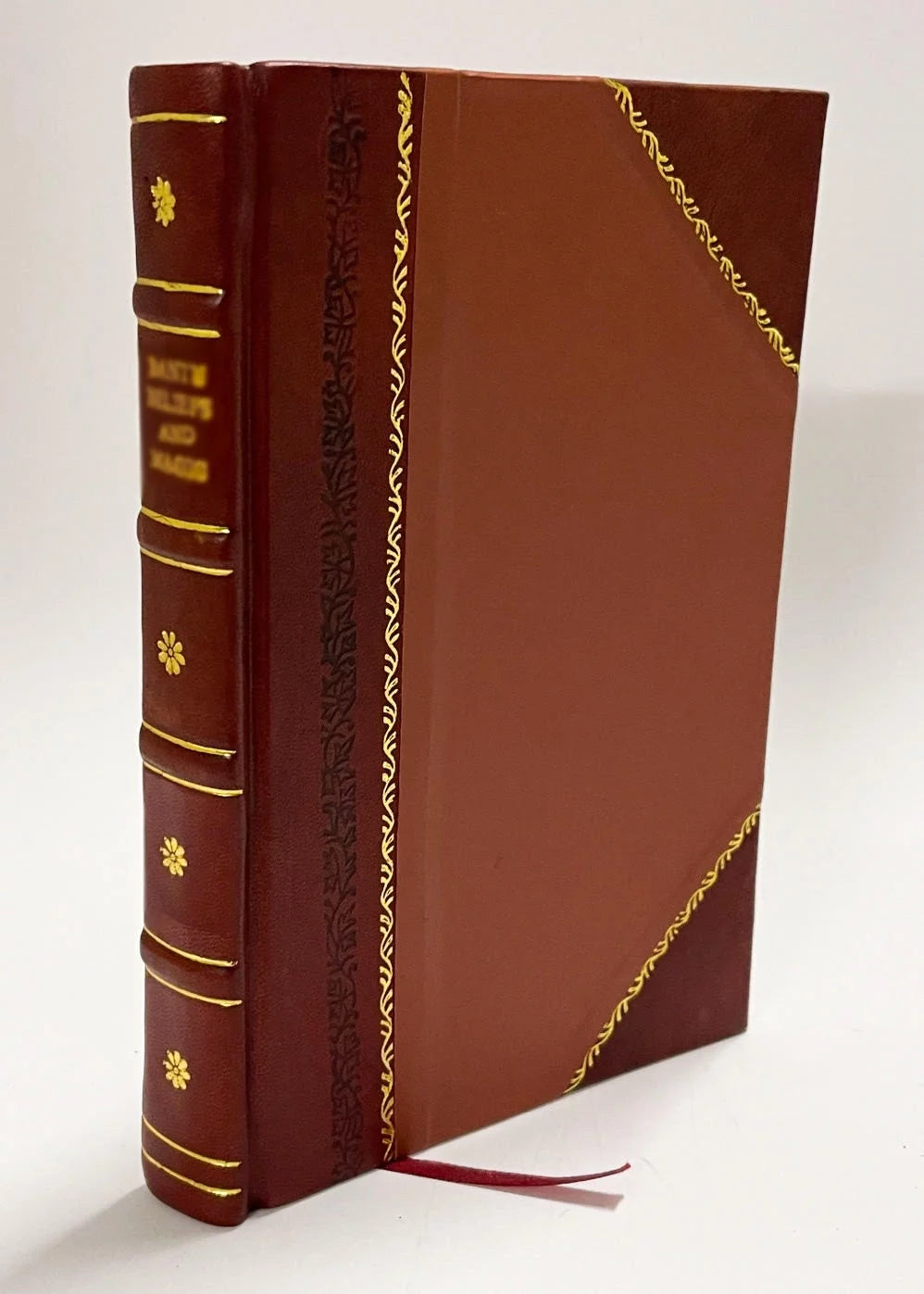 Self-Preparation for the Final Examination Leather Bound E9209
