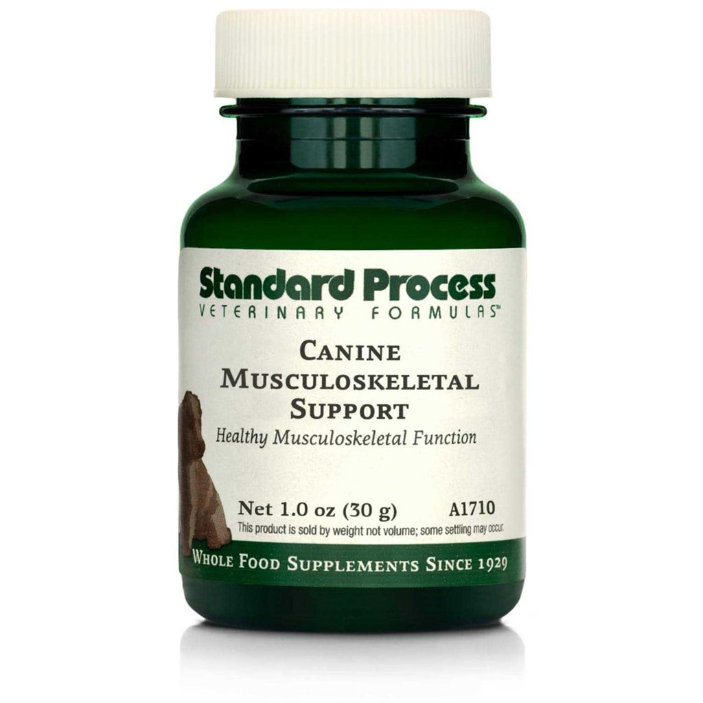 Canine Musculoskeletal Support Pet Supplies V353386