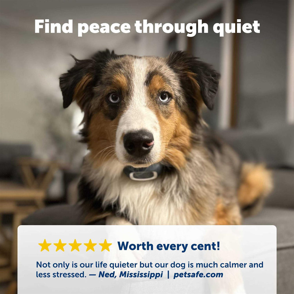 Bark Collar M784811
