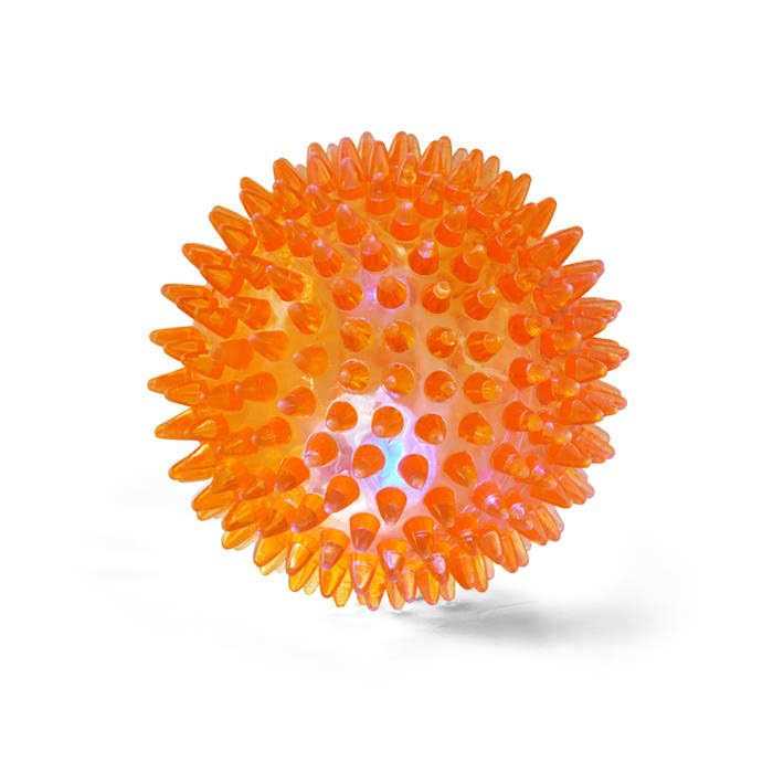 Spiny Ball Dog Chew Toy N345