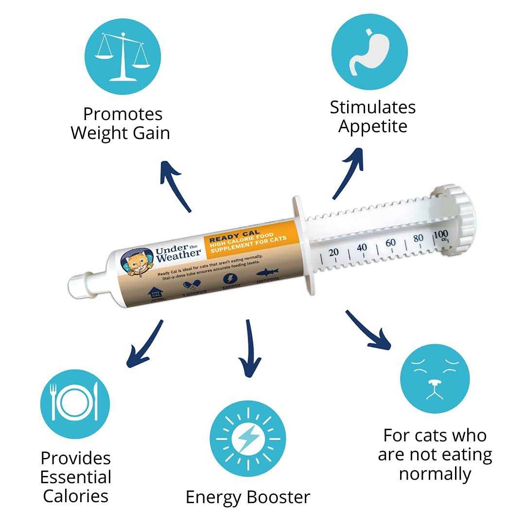 High Calorie Cat Supplement D3879