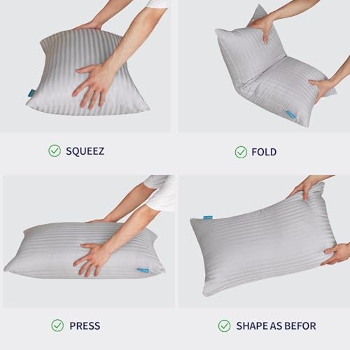 Queen Size Set of 2 Gray Down Alternative Pillows E778