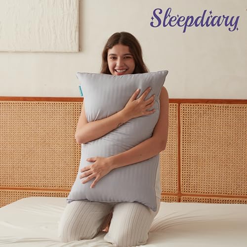 Queen Size Set of 2 Gray Down Alternative Pillows E778