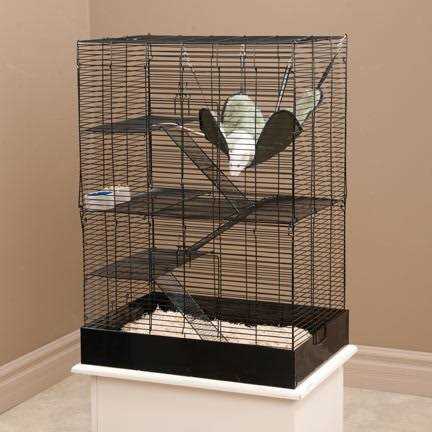 Rat Manor Habitat B618